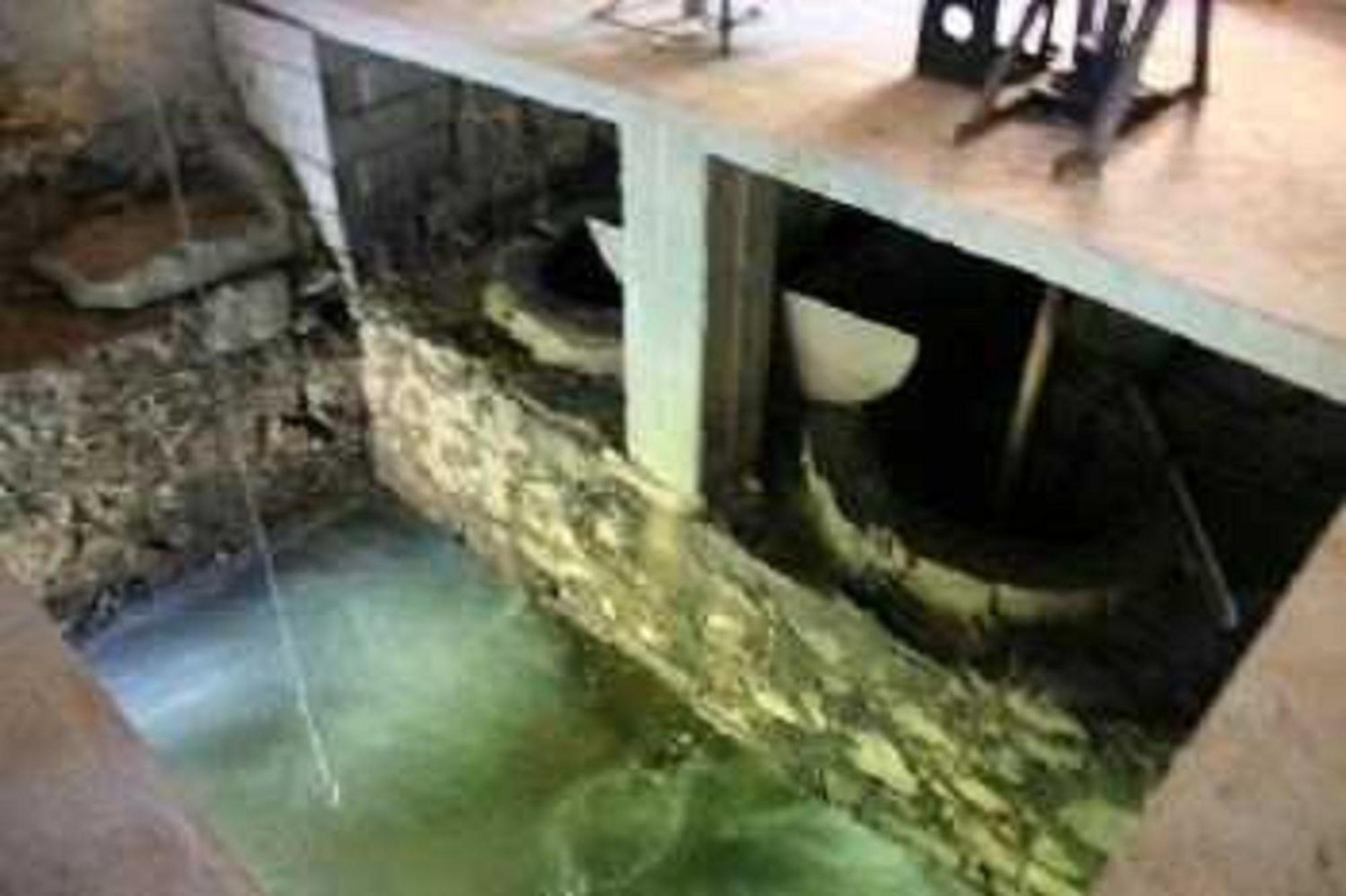 Chambre D'Hotes Moulin Urketa Ayherre Exteriör bild